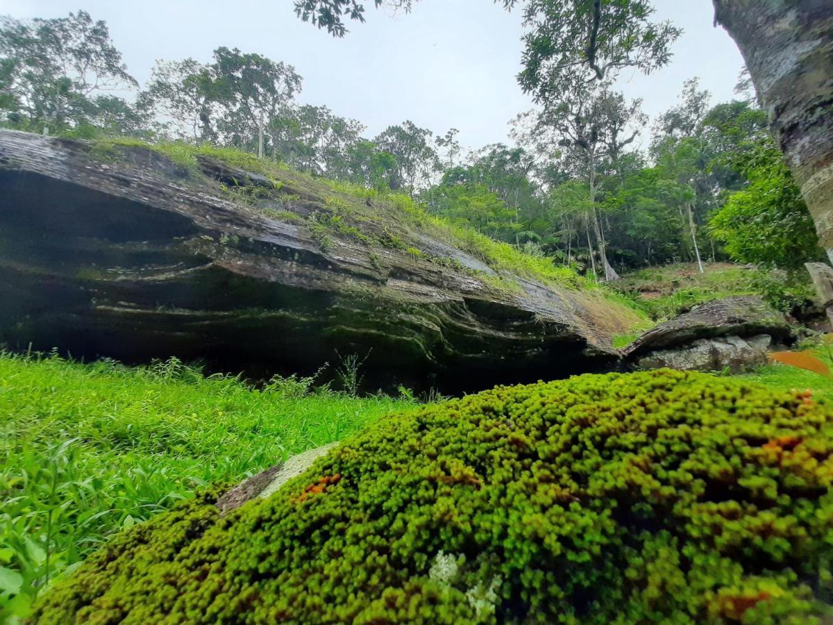 Morada Da Pedra Villa ปรายากรันเจ ภายนอก รูปภาพ