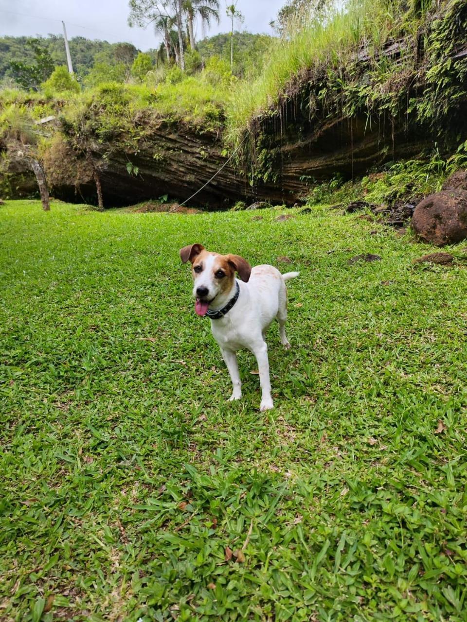 Morada Da Pedra Villa ปรายากรันเจ ภายนอก รูปภาพ