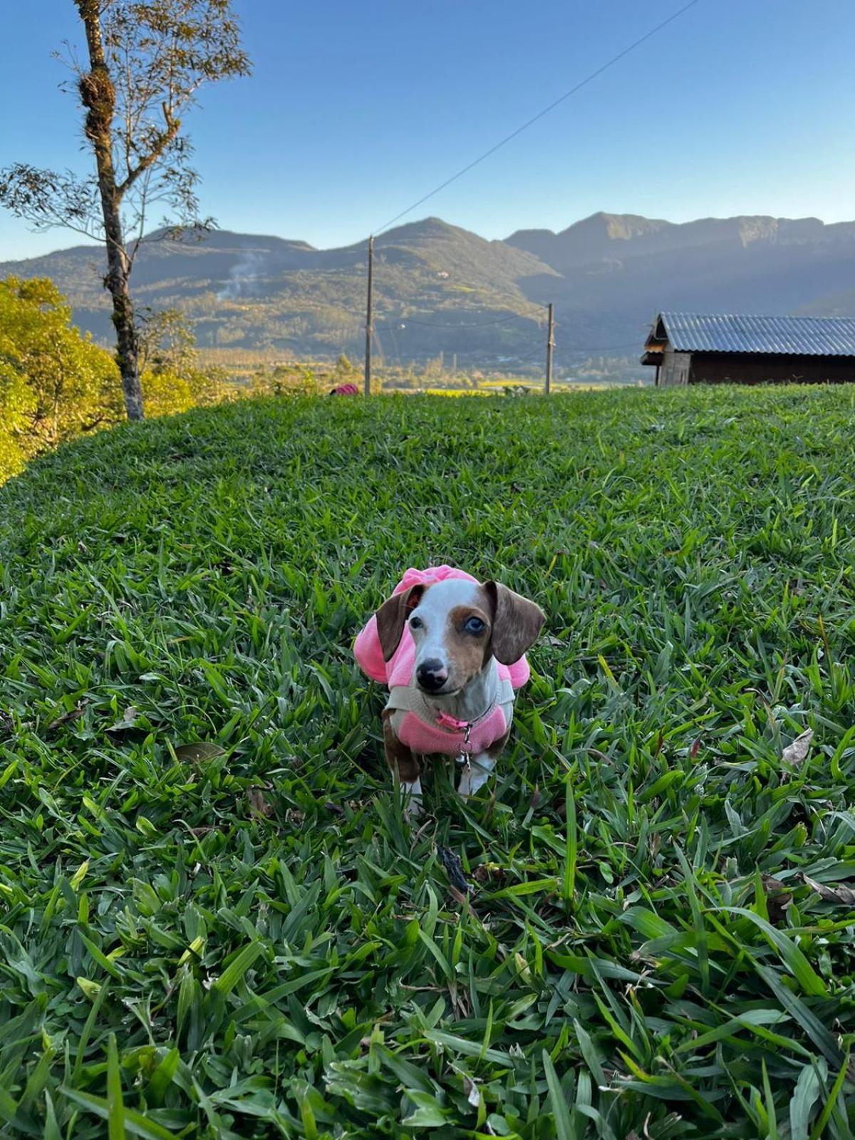 Morada Da Pedra Villa ปรายากรันเจ ภายนอก รูปภาพ